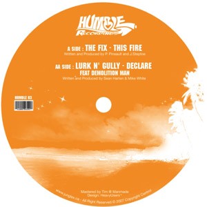 The Fix/Lurk N' Gully: This Fire / Declare