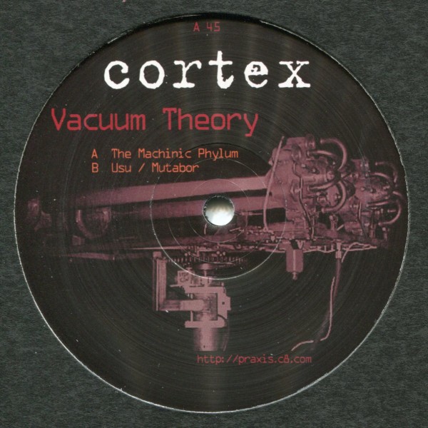Cortex: Vacuum Theory
