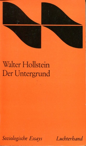 Walter Hollstein: Der Untergrund